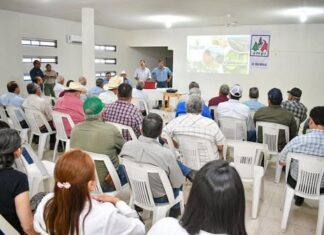 Agricultores realizan capacitación en producción de soya