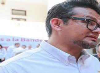 Empresas privadas pretenden invertir en infraestructura de transmisión y distribución