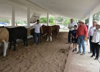 Se llevó a cabo evento de Mejoramiento Genético para fortalecimiento genético del sector pecuario