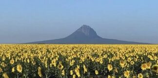 Prepara Turismo “La Ruta del Bernal” en González