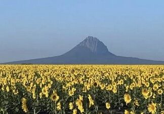 Prepara Turismo “La Ruta del Bernal” en González
