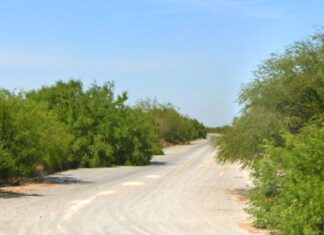 Hallan lo que se presume sean restos de humano en predio abandonado