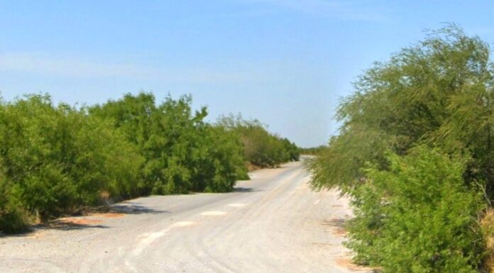 Hallan lo que se presume sean restos de humano en predio abandonado