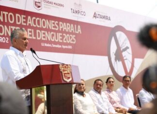 Refuerzan campaña intensiva contra el dengue en la zona sur