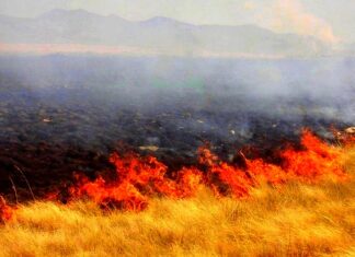 Reportan incendio en carretera deja solo daños materiales