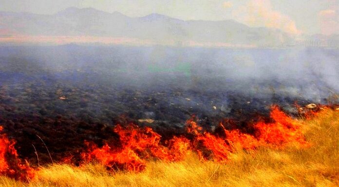 Reportan incendio en carretera deja solo daños materiales
