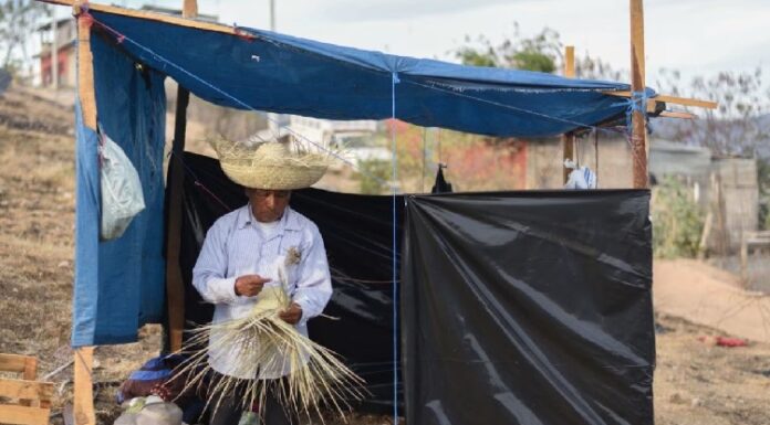 Pobreza en México: lo que dicen los datos y lo que aún no medimos