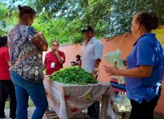 Realizan entrega de ocra en distintas colonias de Río Bravo