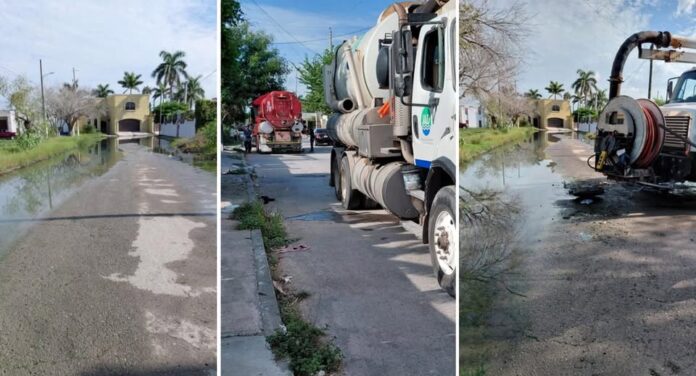 552235575_1375573660809865_1529858304824394986_n