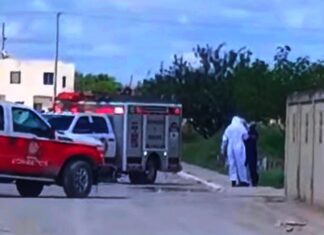 Enjambre de abejas picoteada a persona y es auxiliada por unidad medica