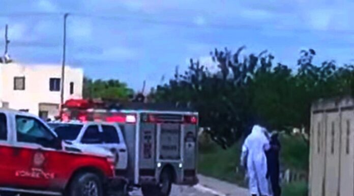 Enjambre de abejas picoteada a persona y es auxiliada por unidad medica