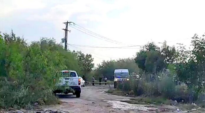 Reportan a persona muerta en apartado sector de la ciudad