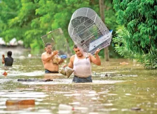 Lluvias devastan cuatro estados; hay 32 muertos; Hidalgo, Puebla, Querétaro y Veracruz