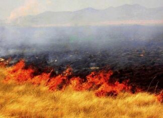 Bomberos acuden ha llamado de incendio de pastizal