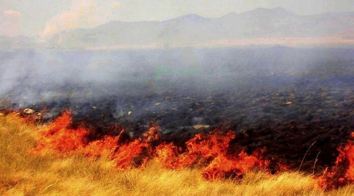 Bomberos acuden ha llamado de incendio de pastizal
