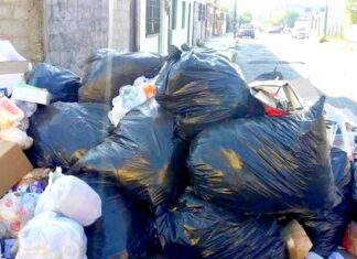 Conminan a promover la reforestación de áreas verdes y no tirar basura