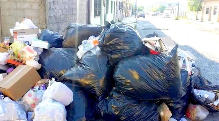 Conminan a promover la reforestación de áreas verdes y no tirar basura