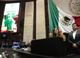 Interviene diputada en Congreso en Día Internacional de la Salud Mental