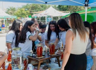 Impulsan desarrollo regional con la Tercera Feria de Agricultura Sustentable