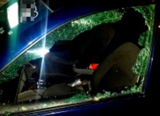 “Parvada” de rateros siguen cometiendo ilícitos en el parque Cultural de Reynosa