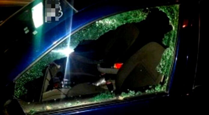 “Parvada” de rateros siguen cometiendo ilícitos en el parque Cultural de Reynosa