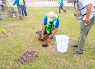 Importante sembrar un arbolito para mejorar el medio ambiente
