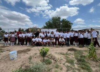 Promueven conciencia ambiental con donación de plantas forestales