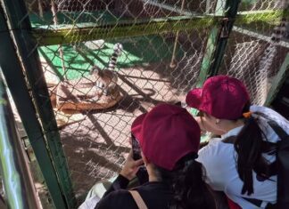 Reserva de la Biósfera El Cielo, se superaron las mil personas este fin