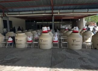 Llevan programas “Alimentando tu Bienestar»