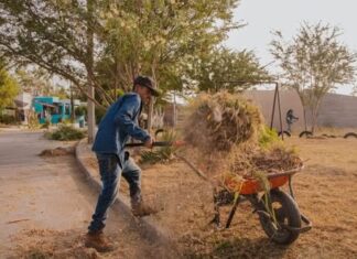 Continúan intensificando las labores de conservación urbana