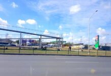 Aplican mantenimiento y limpieza en principales accesos de la ciudad