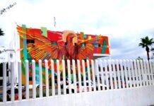 Arrestan a agresivo sujeto por alterar el orden público