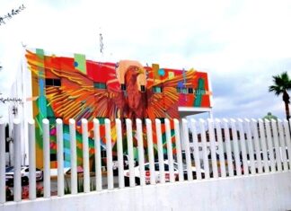 Arrestan a agresivo sujeto por alterar el orden público