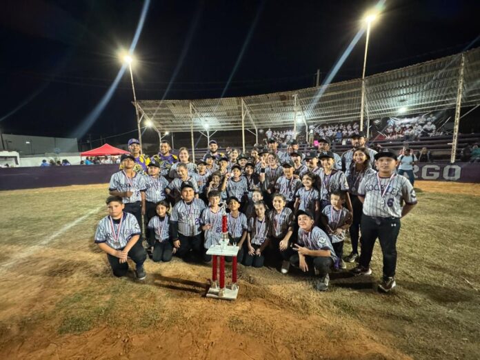 IMG-20251124-WA0118-696x522