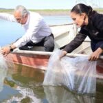 Promueven repoblamiento pesquero con la liberación de 8 mil alevines