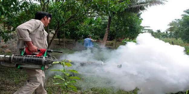 México rebasa los 20 mil contagios por dengue