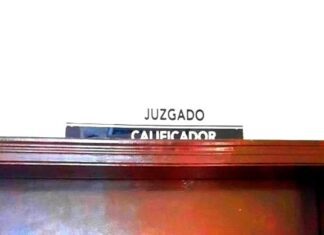 Detienen a desquiciado “asesino” por ensañarse con gatitos