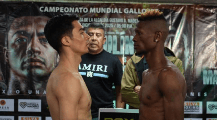¡Va por la corona! Chapulín Salas busca el título en Peso Gallo ante Landile Ngxeke