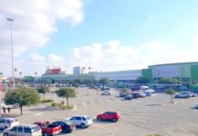 Ratas se siguen propagando en la ciudad resistiéndose al exterminio