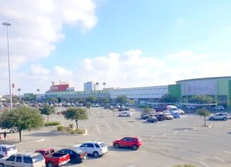 Ratas se siguen propagando en la ciudad resistiéndose al exterminio