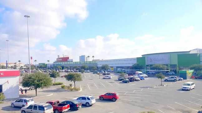 Ratas siguen propalando en la ciudad resistiéndose al exterminio