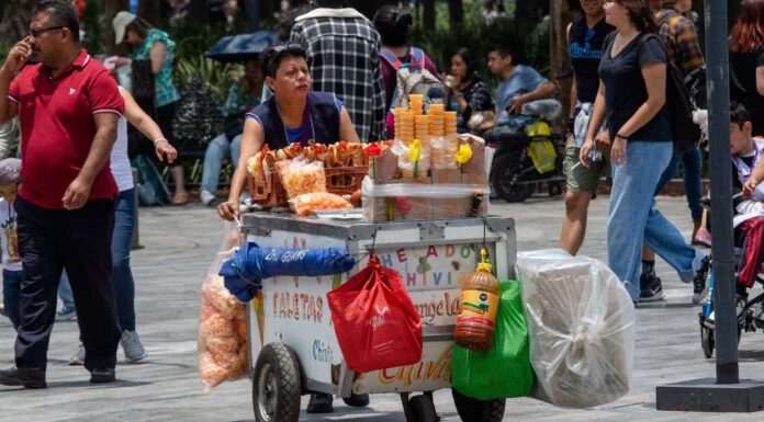 Informalidad laboral y desigualdad estructural en México