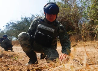 EE.UU. actuará «por tierra» contra los cártel de la droga en México