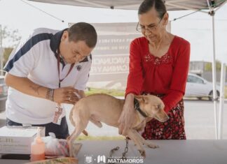 Fortalecen acciones de salud pública y bienestar animal