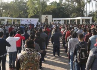 Abren citas por Internet para media cartilla