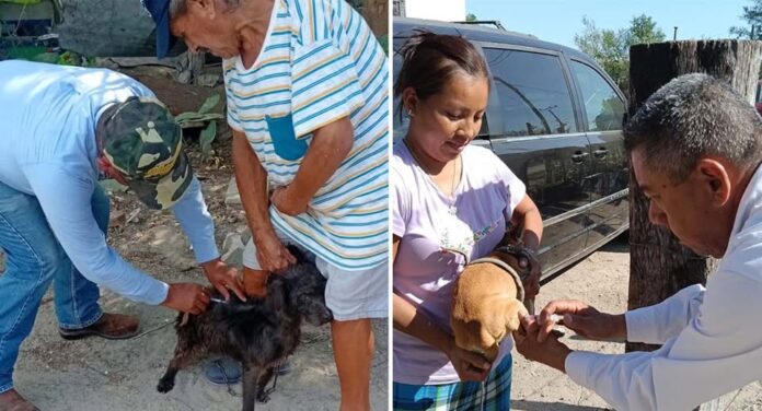 616135443_1470463351320895_3836094267717943174_n