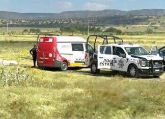 Crisis de violencia de género al inicio del año; sin tregua para las mujeres