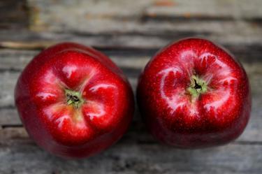 Indagarán compra amañada de manzanas a EU; dio descalabro a ventas mexicanas