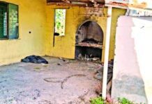 El 2025 sumó casi 5 mil crímenes atroces: organización Causa en Común