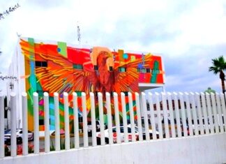 Arrestan a sujeto por molestar a su familia y alterar el orden público